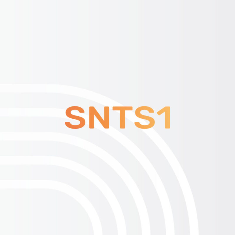 Logo SNTS1