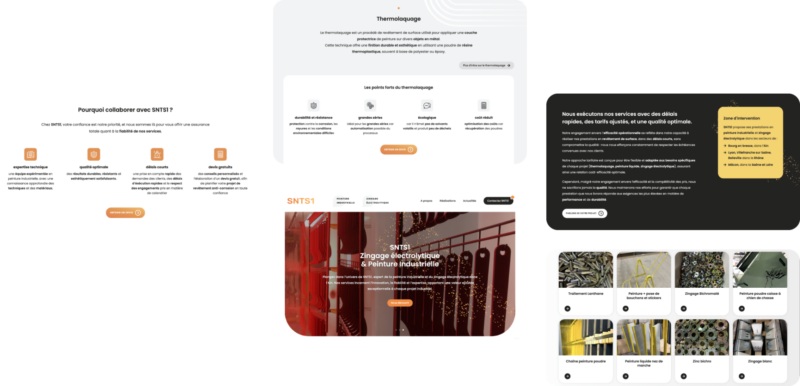 Présentation de la charte graphique du site internet réalisé pour la société du secteur de l'industrie SNTS1