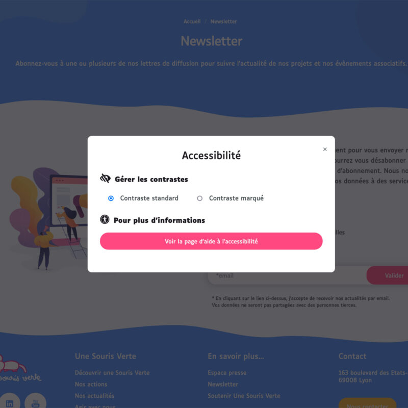 Capture d'écran du site web de l'association Une Souris Verte, mettant en avant les réglages d'accessibilité pour une navigation inclusive.
